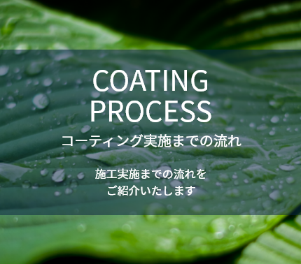 COATING PROCESS